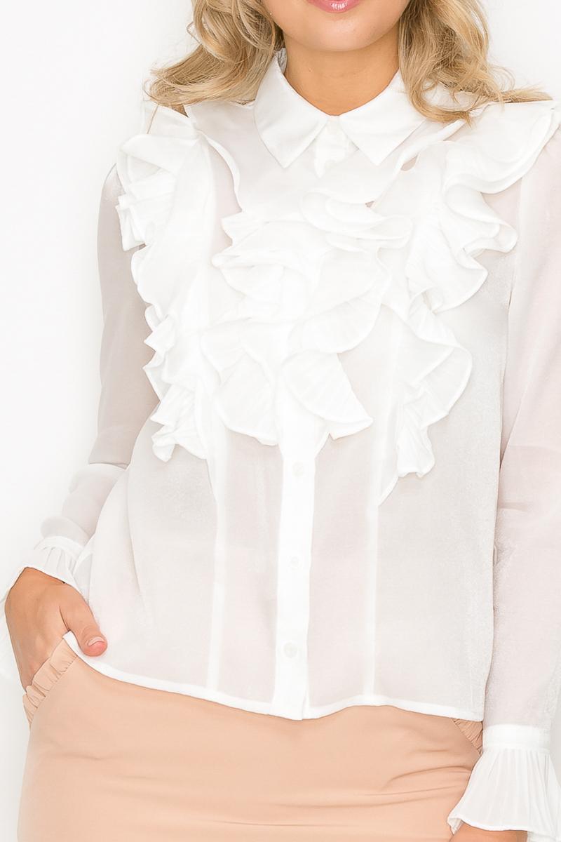 Ruffle Trim Long Sleeve Blouse