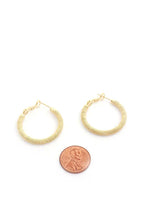 Load image into Gallery viewer, Sodajo Lined Metal Hoop Earring
